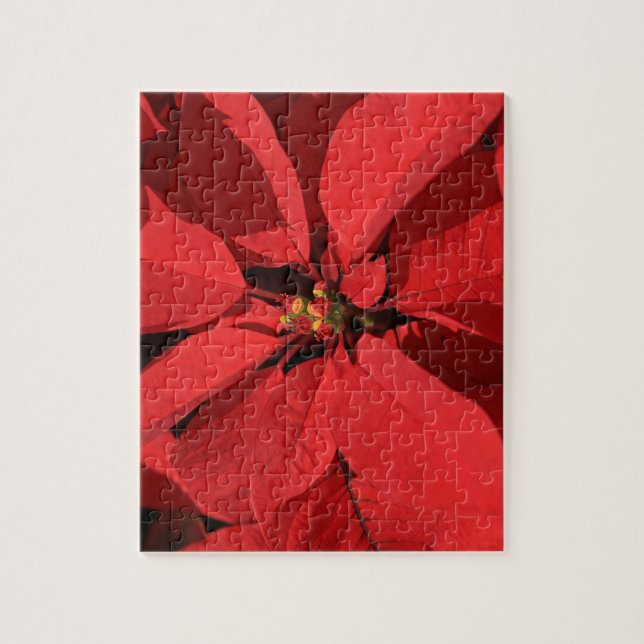 Poinsettia Christmas (Vertikal)