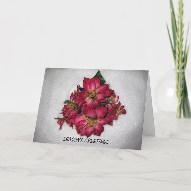 POINSETTIA CHRISTMAS CARD FEIERTAGSKARTE (Vorderseite)