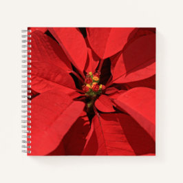 Poinsettia Christmas Journal Notizbuch