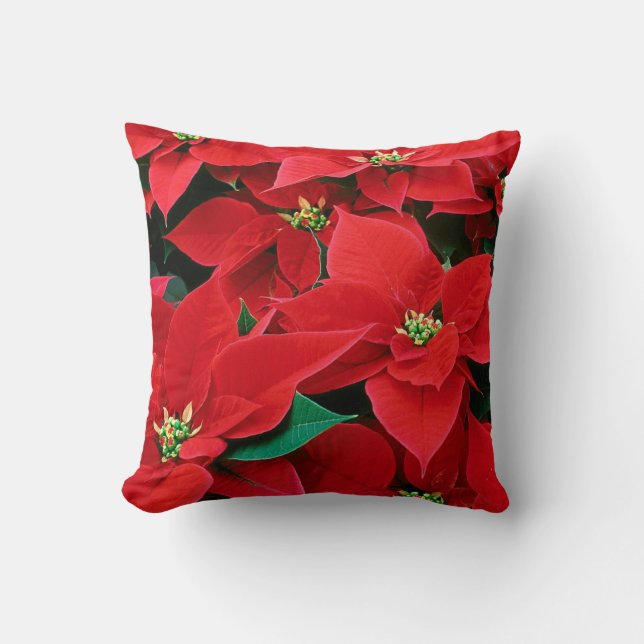 Poinsettia de Noël : Maison : Coussins et carreau (Recto)