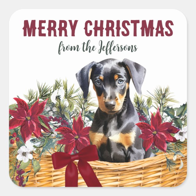 Poinsettia Doberman Pinscher Christmas Basket Quadratischer Aufkleber (Vorderseite)