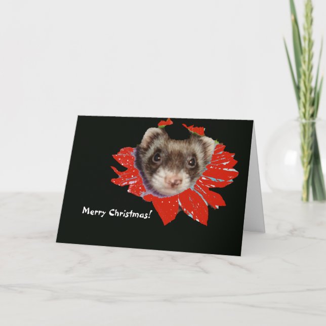 Poinsettia Ferret Weihnachtskarte Feiertagskarte (Vorderseite)