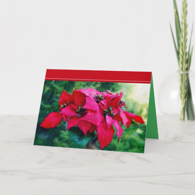 Poinsettia Frohe Weihnachtskarte Feiertagskarte (Vorderseite)