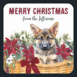 Poinsettia German Shepherd Christmas Basket Quadratischer Aufkleber<br><div class="desc">Dieser hübsche Korrespondenz- oder Geschenkverpackung Holiday Aufkleber zeigt einen Korb aus roten Poinsettienblüten,  weißen Blume,  roten Beeren und Kiefernholz. In der Mitte sitzt ein bezaubernder deutscher Schäferwelpen. Oben steht ein roter Text,  der MERRY CHRISTMAS sagt,  mit Ihrer Unterschrift in grüner Schrift darunter.</div>