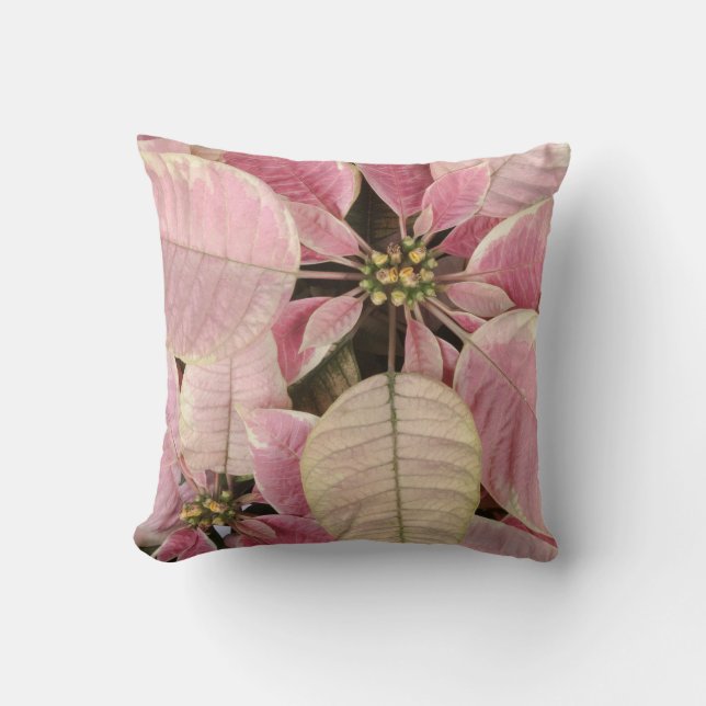 Poinsettia Kissen (Vorderseite)
