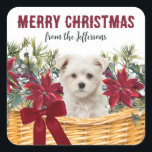 Poinsettia Maltese Puppy Christmas Basket Quadratischer Aufkleber<br><div class="desc">Dieser hübsche Korrespondenz- oder Geschenkverpackung Holiday Aufkleber zeigt einen Korb aus roten Poinsettienblüten,  weißen Blume,  roten Beeren und Kiefernholz. In der Mitte sitzt ein bezaubernder maltesischer Welpe. Oben steht ein roter Text,  der MERRY CHRISTMAS sagt,  mit Ihrer Unterschrift in grüner Schrift darunter.</div>
