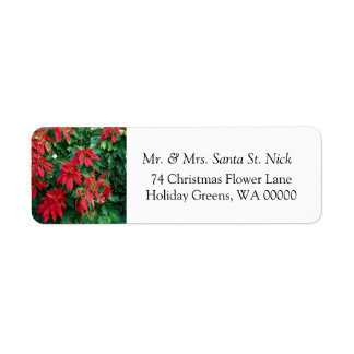 Poinsettia Merry Christmas Card Étiquettes du cour