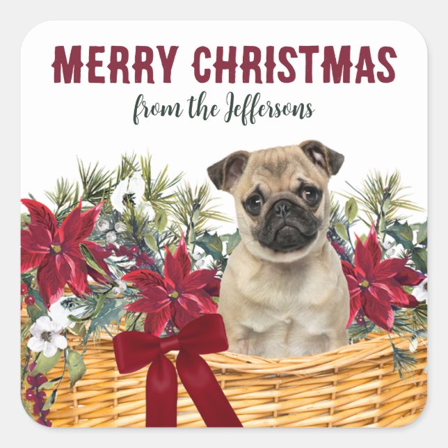 Poinsettia Mops Dog Weihnachtskorb Quadratischer Aufkleber (Vorderseite)
