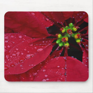 Poinsettia Mousepad