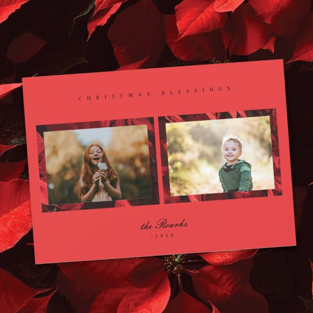 Poinsettia Petals Frame 2 Photo Carte de Noël (Créateur téléchargé)