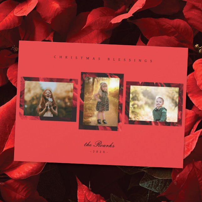 Poinsettia Petals Frame 3 Photo Carte de Noël (Créateur téléchargé)