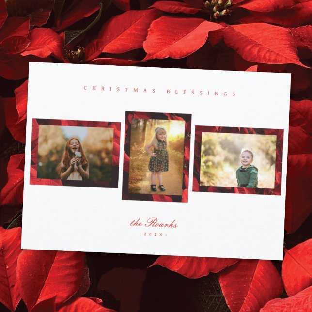 Poinsettia Petals Frame 3 Photo Carte de Noël (Créateur téléchargé)