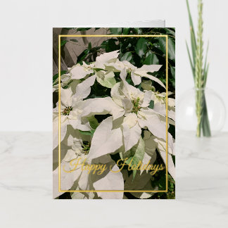 Poinsettia Pliée Foil Carte de vacances n° : 1