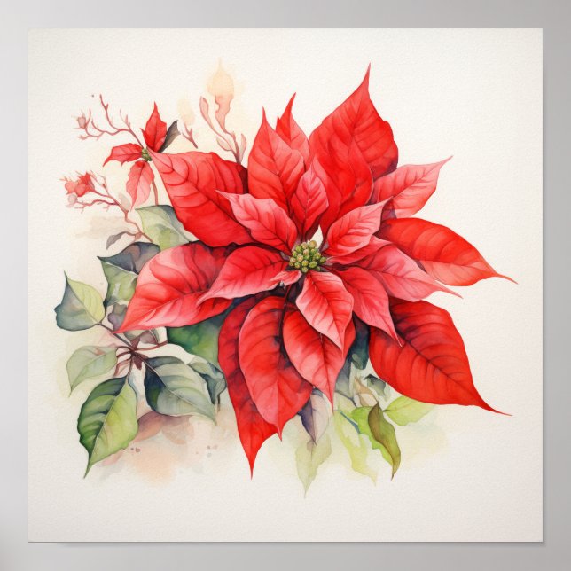 Poinsettia Poster (Vorne)
