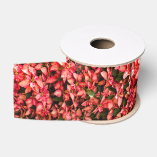 Poinsettia Ripsband