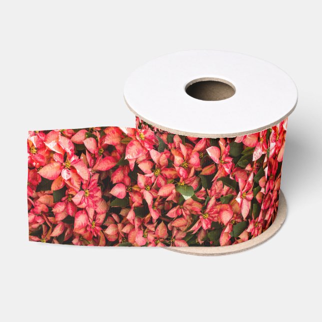 Poinsettia Ripsband (Spule)