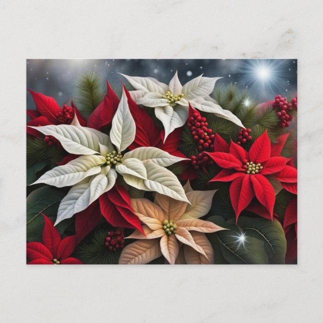 Poinsettia Saisongrüße Feiertagspostkarte (Vorderseite)