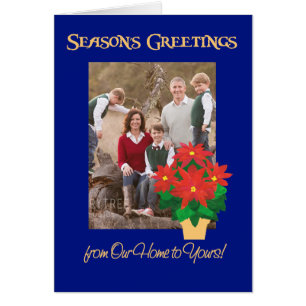 Poinsettia Season's Greetings Our Zuhause to Yours