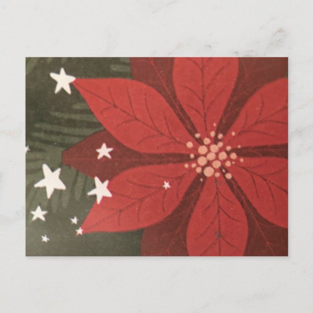 Poinsettia & Stars Feiertagspostkarte (Vorderseite)
