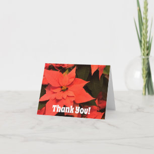 Poinsettia-Weihnachts-Dankeskarten Blanko Dankeskarte