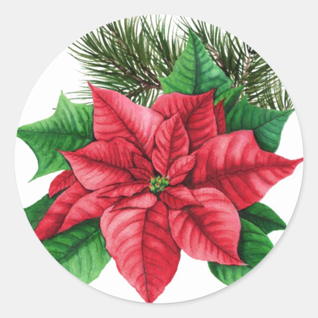 Poinsettia Weihnachtsaufkleber Runder Aufkleber (Vorderseite)