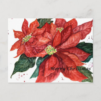Poinsettia Weihnachtskarte Feiertagspostkarte