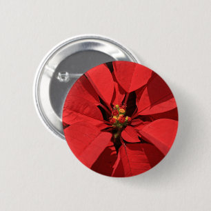 Poinsettia Weihnachtszeit-Blume   Text hinzufügen Button