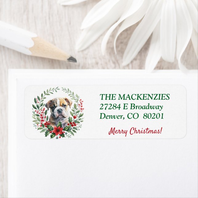 Poinsettia Wreath Bulldog Puppy-Rücksendeadresse (Insitu)