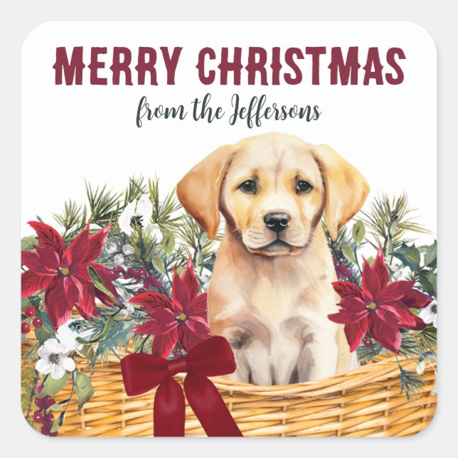Poinsettia Yellow Labrador Retriever Basket Quadratischer Aufkleber (Vorderseite)