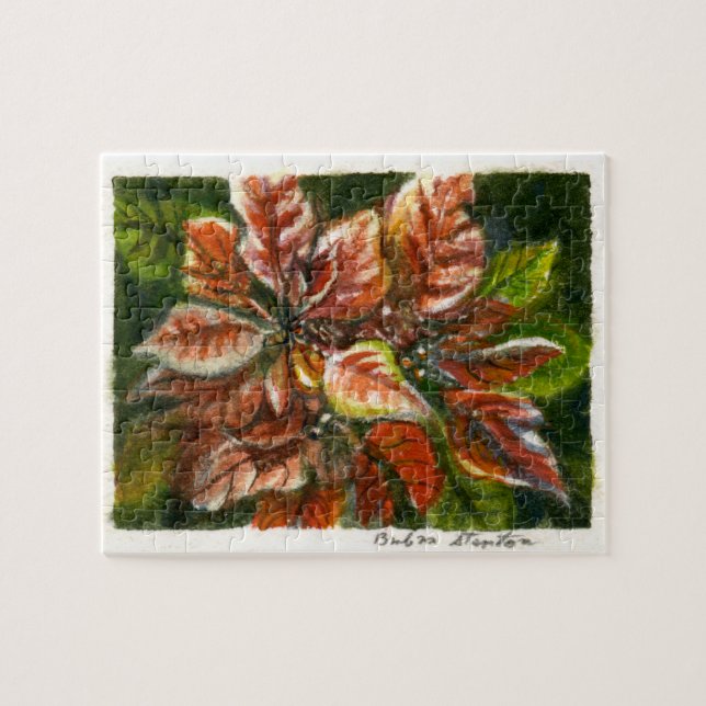 ‚Poinsettias‘ (Horizontal)