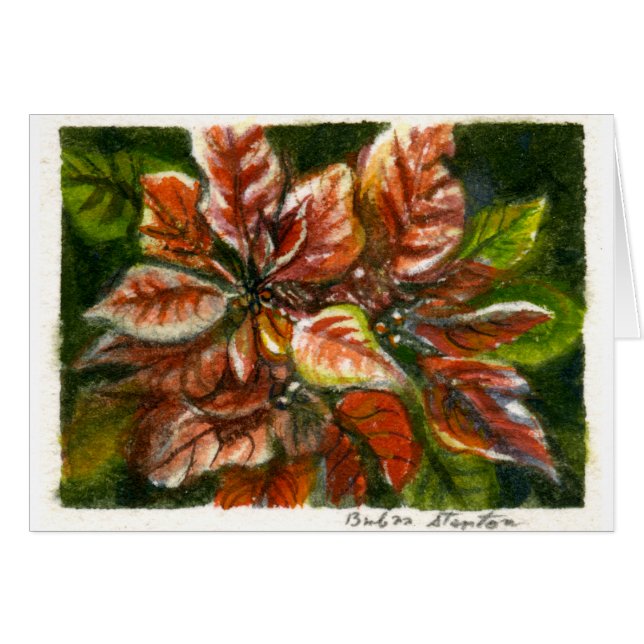 "Poinsettias" Blankokarte (Vorderseite (Horizontal))