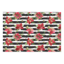 Poinsettias, Schwarzer Streifen