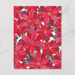 Poinsettias Winter Shelter Postkarte