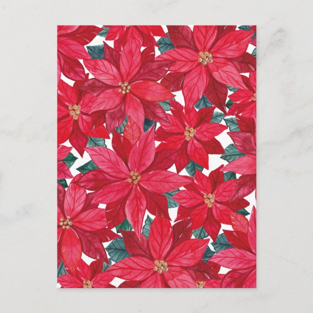 Poinsettias Winter Shelter Postkarte (Vorderseite)