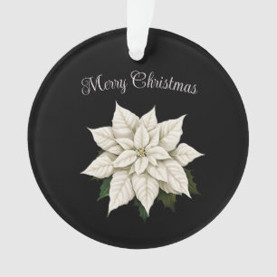 Poinsettie blanche d'hiver