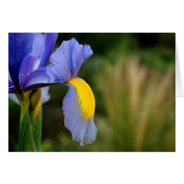 Point chaud (Devant horizontal)