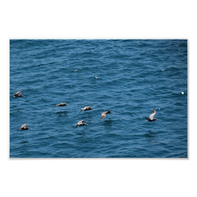 Point Dume Fotodruck (Vorne)