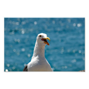 Point Dume Fotodruck