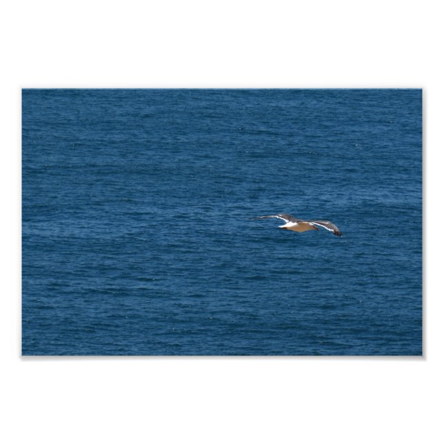 Point Dume Fotodruck (Vorne)