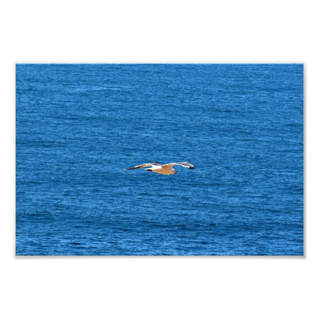 Point Dume Fotodruck (Vorne)