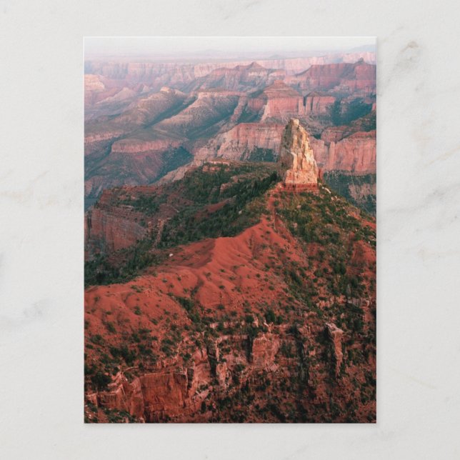 Point Imperial und Mount Hayden bei Sunset Postkarte (Vorderseite)