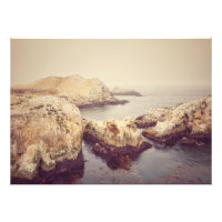 Point Lobos Küste
