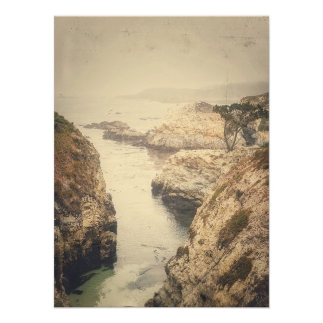 Point Lobos Küste Fotodruck (Vorne)
