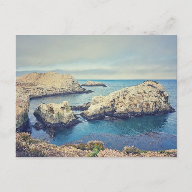 Point Lobos Küstenlandschaft Postkarte (Vorderseite)