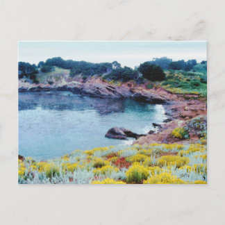 Point Lobos Postkarte