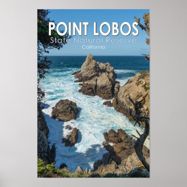 Point Lobos Staat Natural Reserve Kalifornien Poster (Vorne)