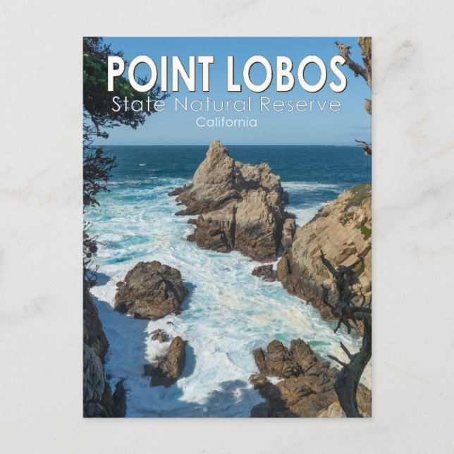 Point Lobos Staat Natural Reserve Kalifornien Postkarte (Vorderseite)