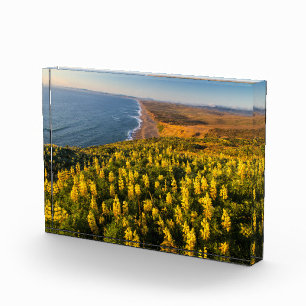 Point Reyes National Seashore Kalifornien Fotoblock