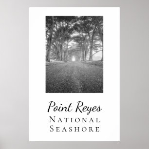 Point Reyes Poster