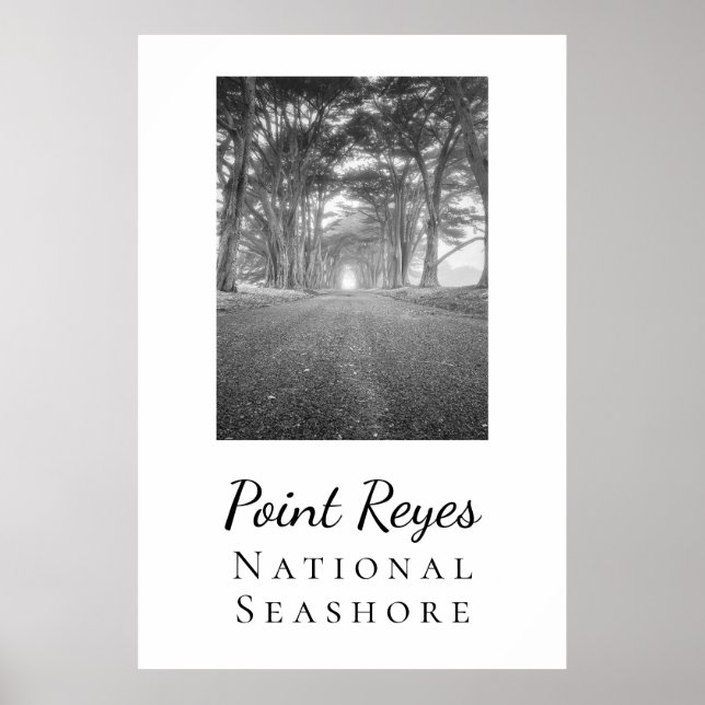 Point Reyes Poster (Vorne)